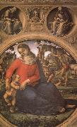Luca Signorelli The Madonna and the Nino with prophets Spain oil painting artist